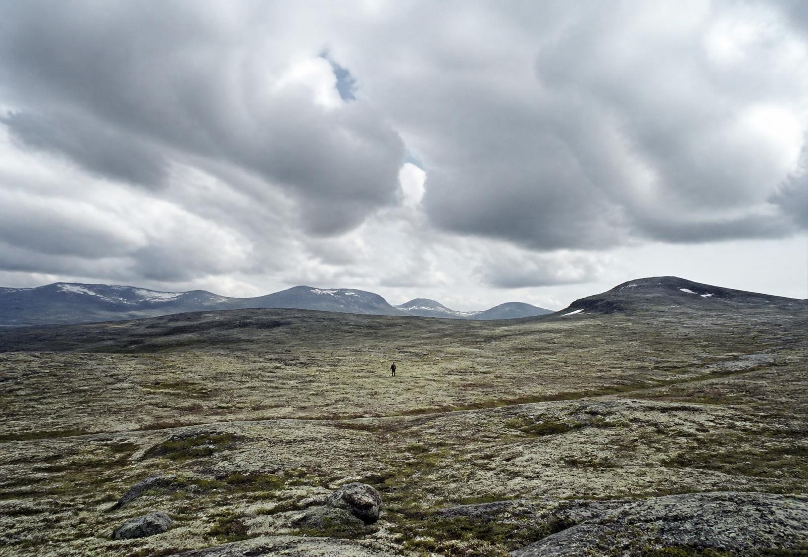 An enormous Swedish mountain landscape